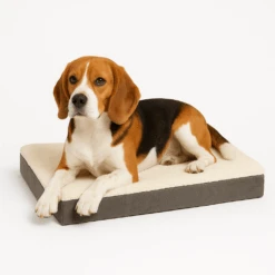 Beeztees Orthopädisches Hundekissen Zira 10 Beeztees Orthopädisches Hundekissen Zira -Myd Pet Geschaft hAFwlB6YGXEwI5zukDR6r7oaEw6Sc4 metaQmVhZ2xlLU9ydGhvcGVkaXNjaGUgaG9uZGVua3Vzc2VuIFppcmEucG5n