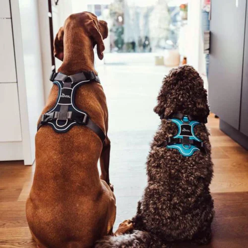 Hunter Geschirr Divo 10 Hunter Geschirr Divo -Myd Pet Geschaft hunter harnas divo donkerblauwgrijs 166906 1000 none