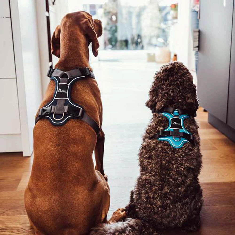 Hunter Geschirr Divo 5 Hunter Geschirr Divo – Bild 5