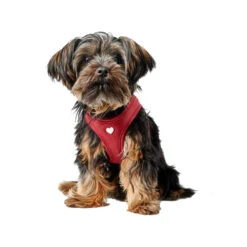 Hunter Geschirr Love -Myd Pet Geschaft hunter harness love 223522 1000 none