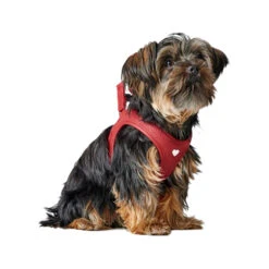 Hunter Geschirr Love -Myd Pet Geschaft hunter harness love 223528 1000 none