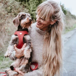 Hunter Geschirr Love -Myd Pet Geschaft hunter harness love 223529 0500 none