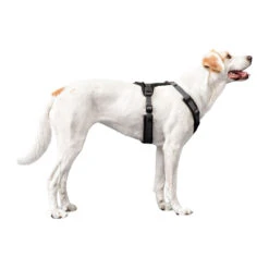 Hunter Geschirre Maldon 8 Hunter Geschirre Maldon -Myd Pet Geschaft hunter harness maldon 223765 1500 none