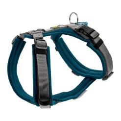 Hunter Geschirre Maldon 10 Hunter Geschirre Maldon -Myd Pet Geschaft hunter harness maldon 223767 1500 none