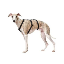 Hunter Vario Rapid Sicherheitsgeschirr 10 Hunter Vario Rapid Sicherheitsgeschirr -Myd Pet Geschaft hunter vario rapid veiligheidsharnas zwart 169501 0500 none