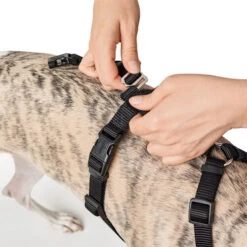 Hunter Vario Rapid Sicherheitsgeschirr 12 Hunter Vario Rapid Sicherheitsgeschirr -Myd Pet Geschaft hunter vario rapid veiligheidsharnas zwart 169504 0500 none