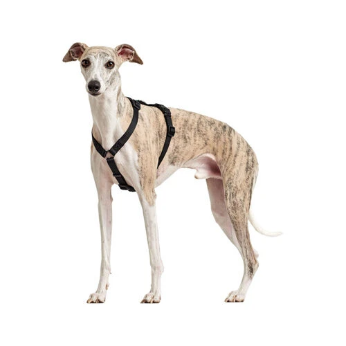 Hunter Vario Rapid Sicherheitsgeschirr 4 Hunter Vario Rapid Sicherheitsgeschirr – Bild 4