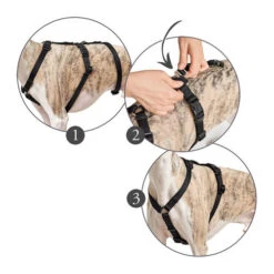 Hunter Vario Rapid Sicherheitsgeschirr 13 Hunter Vario Rapid Sicherheitsgeschirr -Myd Pet Geschaft hunter vario rapid veiligheidsharnas zwart 169510 0500 none