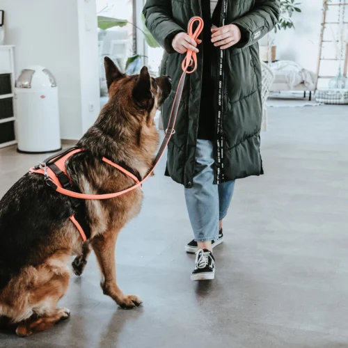 Hunter Sicherheitsgeschirr Maldon 26 Hunter Sicherheitsgeschirr Maldon -Myd Pet Geschaft hunter veiligheidsharnas maldon 221557 1500 none