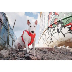 Hurtta Weekend Warrior Eco Geschirr 9 Hurtta Weekend Warrior Eco Geschirr -Myd Pet Geschaft hurtta weekend warrior eco harness 189132 0500 none