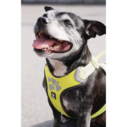 Hurtta Weekend Warrior Geschirr -Myd Pet Geschaft hurtta weekend warrior harness 189093 1000 none