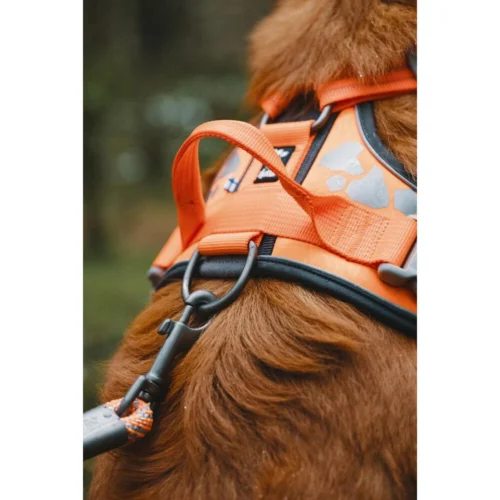 Hurtta Weekend Warrior Geschirr -Myd Pet Geschaft hurtta weekend warrior harness 189096 1000 none