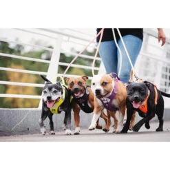 Hurtta Weekend Warrior Geschirr -Myd Pet Geschaft hurtta weekend warrior harness 189114 0500 none