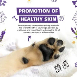 DogsLife Pfotenreiniger 19 DogsLife Pfotenreiniger -Myd Pet Geschaft iD7Shyx4W2Vdbjuqw2vTKG33GksG0D metacGF3Y2xlYW5lci02LmpwZw