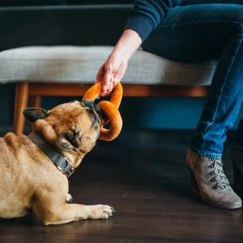 P.L.A.Y. Pet International Classic - Pretzel Toy 7 P.L.A.Y. Pet International Classic - Pretzel Toy -Myd Pet Geschaft international classic pretzel toy 198122 1000 none