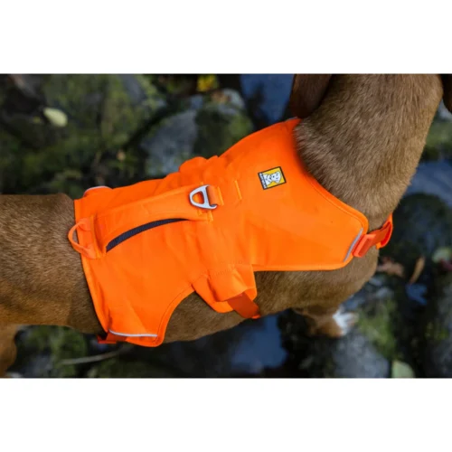Ruffwear Webmaster Harness 27 Ruffwear Webmaster Harness -Myd Pet Geschaft isGVwiY5pNIkdr27dm5vHwxnku9LpF metaUnVmZndlYXItV2ViLU1hc3Rlci1IYXJuZXNzLW5pZXV3LTMuanBn