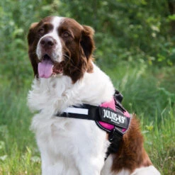 Julius K9 IDC Powergeschirr -Myd Pet Geschaft julius k9 idc powertuig 192695 1000 none