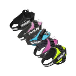 Julius K9 IDC Powergeschirr -Myd Pet Geschaft julius k9 idc powertuig 192863 0500 none