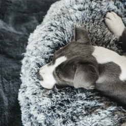 Kentucky Dogwear - Comfort Donut-Hundekorb 10 Kentucky Dogwear - Comfort Donut-Hundekorb -Myd Pet Geschaft kentucky dogwear comfort donut hondenmand 219723 0500 none