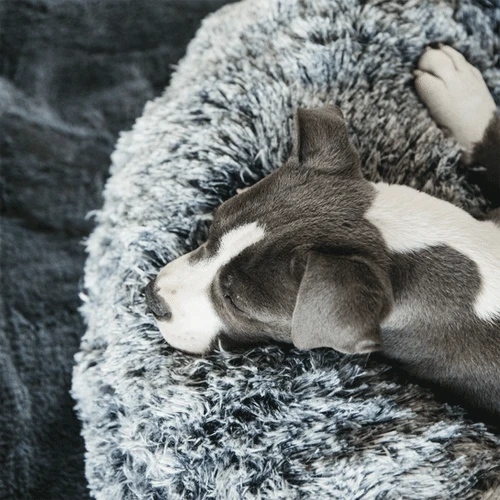 Kentucky Dogwear - Comfort Donut-Hundekorb 4 Kentucky Dogwear - Comfort Donut-Hundekorb – Bild 4