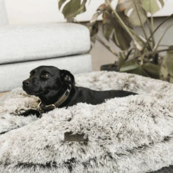 Kentucky Dogwear - Comfort Donut-Hundekorb 11 Kentucky Dogwear - Comfort Donut-Hundekorb -Myd Pet Geschaft kentucky dogwear comfort donut hondenmand 219727 0500 none