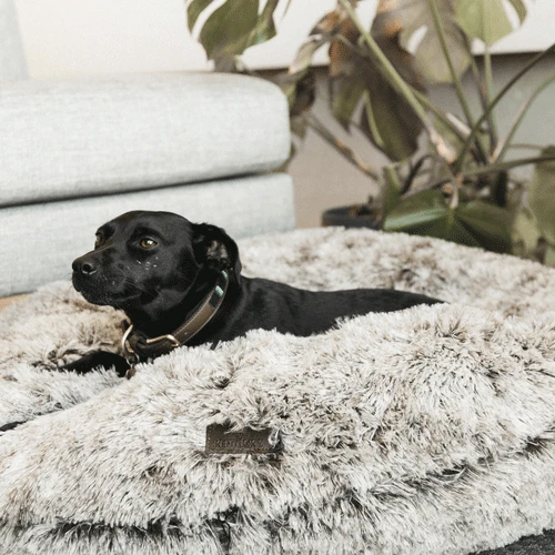 Kentucky Dogwear - Comfort Donut-Hundekorb 5 Kentucky Dogwear - Comfort Donut-Hundekorb – Bild 5