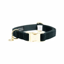 Kentucky Dogwear Corduroy Hundehalsband 11 Kentucky Dogwear Corduroy Hundehalsband -Myd Pet Geschaft kentucky dogwear corduroy hondenhalsband 219194 0500 none