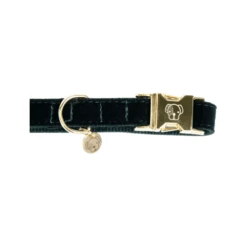 Kentucky Dogwear Corduroy Hundehalsband 12 Kentucky Dogwear Corduroy Hundehalsband -Myd Pet Geschaft kentucky dogwear corduroy hondenhalsband 219195 0500 none