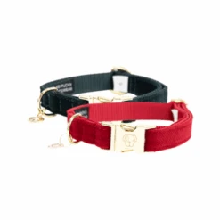 Kentucky Dogwear Corduroy Hundehalsband 17 Kentucky Dogwear Corduroy Hundehalsband -Myd Pet Geschaft kentucky dogwear corduroy hondenhalsband 219197 0500 none