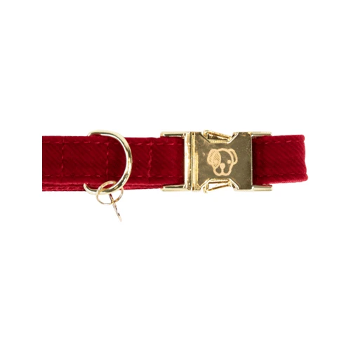 Kentucky Dogwear Corduroy Hundehalsband 5 Kentucky Dogwear Corduroy Hundehalsband – Bild 5