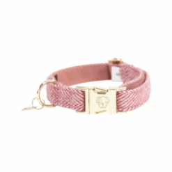 Kentucky Dogwear Hundehalsband Wool 29 Kentucky Dogwear Hundehalsband Wool -Myd Pet Geschaft kentucky dogwear hondenhalsband wool 219708 0500 none