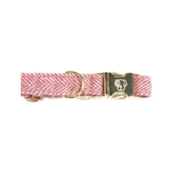 Kentucky Dogwear Hundehalsband Wool 31 Kentucky Dogwear Hundehalsband Wool -Myd Pet Geschaft kentucky dogwear hondenhalsband wool 219709 0500 none
