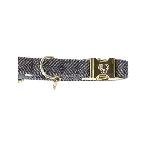 Kentucky Dogwear Hundehalsband Wool 8 Kentucky Dogwear Hundehalsband Wool – Bild 8