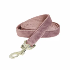 Kentucky Dogwear Hundeleine Velvet 22 Kentucky Dogwear Hundeleine Velvet -Myd Pet Geschaft kentucky dogwear hondenlijn velvet 219297 0500 none
