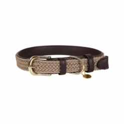 Kentucky Dogwear Nylon Hundehalsband -Myd Pet Geschaft kentucky dogwear nylon hondenhalsband 219176 0500 none