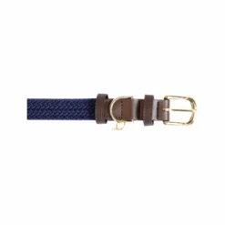 Kentucky Dogwear Nylon Hundehalsband -Myd Pet Geschaft kentucky dogwear nylon hondenhalsband 219177 0500 none