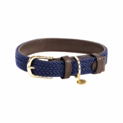 Kentucky Dogwear Nylon Hundehalsband -Myd Pet Geschaft kentucky dogwear nylon hondenhalsband 219180 0500 none
