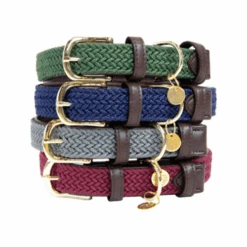 Kentucky Dogwear Nylon Hundehalsband -Myd Pet Geschaft kentucky dogwear nylon hondenhalsband 219181 0500 none