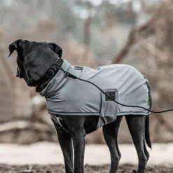 Kentucky Dogwear Soft Rubber Hundehalsband 18 Kentucky Dogwear Soft Rubber Hundehalsband -Myd Pet Geschaft kentucky dogwear soft rubber hondenhalsband 219265 0500 none