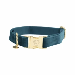 Kentucky Dogwear Velvet Hundehalsband -Myd Pet Geschaft kentucky dogwear velvet hondenhalsband 219231 0500 none
