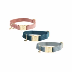 Kentucky Dogwear Velvet Hundehalsband -Myd Pet Geschaft kentucky dogwear velvet hondenhalsband 219233 0500 none