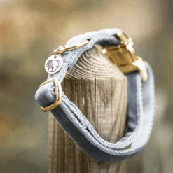 Kentucky Dogwear Velvet Hundehalsband -Myd Pet Geschaft kentucky dogwear velvet hondenhalsband 219236 0500 none