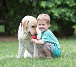 KONG Classic 17 KONG Classic -Myd Pet Geschaft kong classic 98642 0500 none