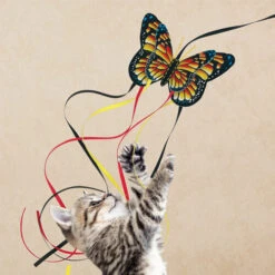 KONG Katzenangel Schmetterling -Myd Pet Geschaft kong kattenhengel vlinder 229132 0500 none