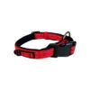 KONG Nylon-Halsband 9 KONG Nylon-Halsband -Myd Pet Geschaft kong nylon collar 194075 1000 none