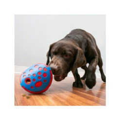 Kong Rewards Wally -Myd Pet Geschaft kong rewards wally hond 201329 2000 none