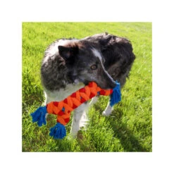 KONG Rope Rally Bone -Myd Pet Geschaft kong rope rally bone 230077 1000 none