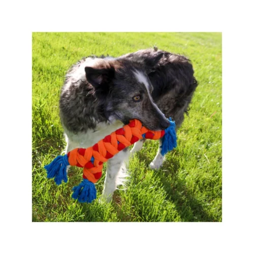 KONG Rope Rally Bone -Myd Pet Geschaft kong rope rally bone 230077 1000 none