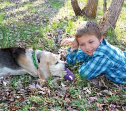 KONG Senior -Myd Pet Geschaft kong senior 98873 0500 none