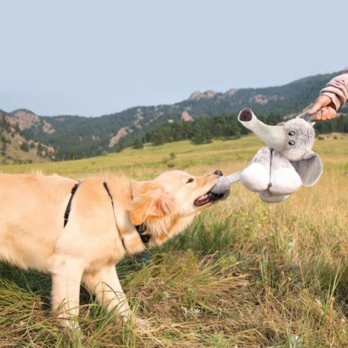 KONG Stretchezz Legz 12 KONG Stretchezz Legz -Myd Pet Geschaft kong stretchezz legz 162619 1000 none